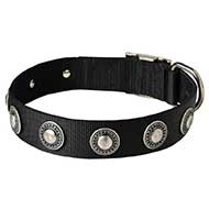 Nylon Dog Collar with Metal Decorative Circles