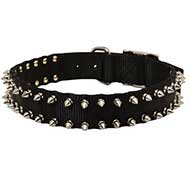 Spiked Design Nylon Bull Terrier Collar for Walking