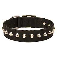 Studded Nylon Bull Terrier Collar For Everyday Use