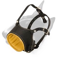 Anti-Barking Leather Bull Terrier Muzzle with Nappa Padding