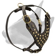 Designer Studded Leather Bull Terrier Harness