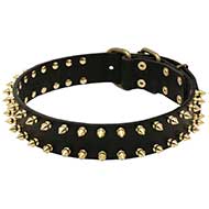 "Unveiled Luxury" English Bull Terrier Dog Leather Collar "Unveiled Luxury" English Bull Terrier Dog Leather Collar