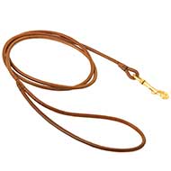 Slim Round Leather Bull Terrier Leash