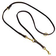 Multifunctional Leather Bull Terrier Leash