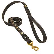 Splendid Leather Bull Terrier Leash with Studs for Tracking