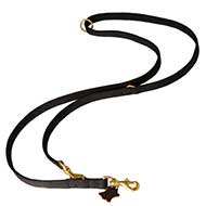 All Weather Nylon Bull Terrier Leash for Police Dogs