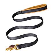20 mm Nylon Bull Terrier Leash with Comfortable Handle