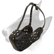 Leather Bull Terrier Muzzle for Attack and Agitation Training
