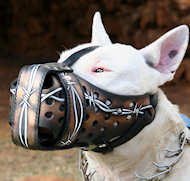 Designer Leather Bull Terrier Muzzle with Barbed Wire Painting
