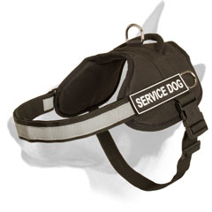 All-Weather Training Nylon Bull Terrier Harness for Police Work