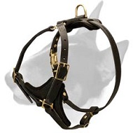Adjustable Padded Leather Bull Terrier Harness for Dog Walking