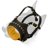 No Bark Leather Bull Terrier Muzzle for Walking and Training