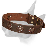 'Spring Mood' Bull Terrier Leather Dog Collar for Walking 'Spring Mood' Bull Terrier Leather Dog Collar for Walking