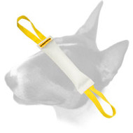 English Bull Terrier Extra-Durable Fire Hose Bite Tug for Training English Bull Terrier Extra-Durable Fire Hose Bite Tug for Training