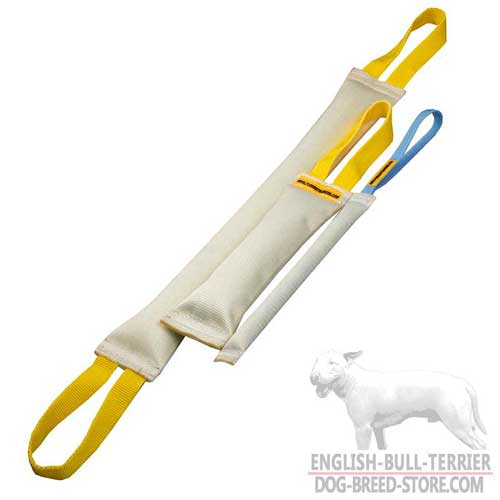 Training Fire Hose Dog Bite Tugs for Bull Terrier