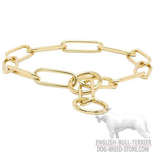 Strong Dog Collar for English Bull Terrier