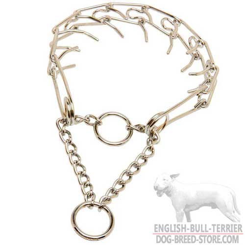 Strong Dog Collar for English Bull Terrier