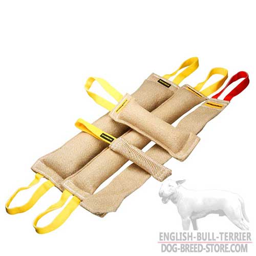 Upgraded Training Set of Jute Bull Terrier Bite Tugs with a Superb Gift