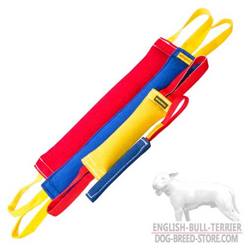 French Linen Bull Terrier Bite Training Set for Adult Dogs