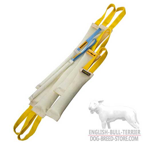 Fire Hose Bull Terrier Bite Training Set of 6 Dog Items