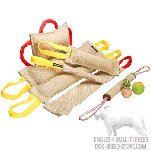 Non-Toxic Jute Bull Terrier Tugs