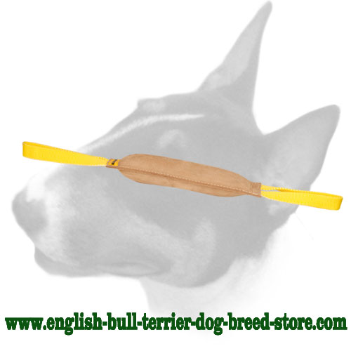 English Bull Terrier leather bite tug with 2 handles for training