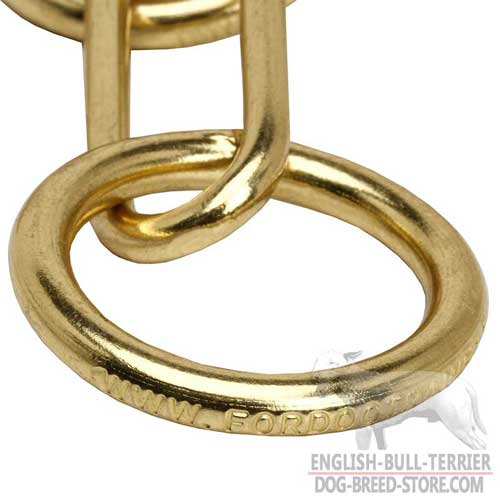 Strong ring of Bull Terrier choke collar
