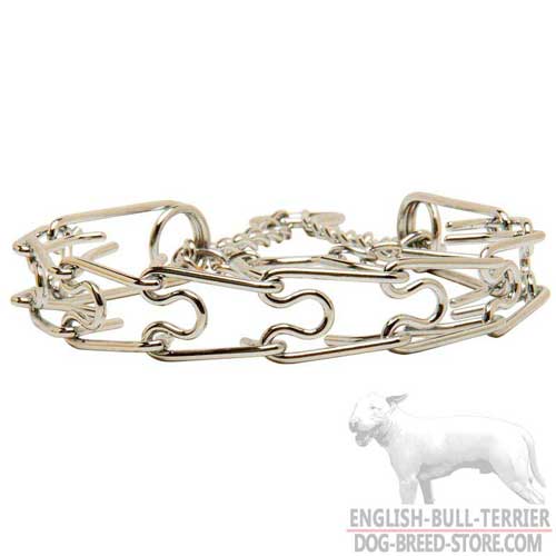 Chrome Plated Dog Collar for English Bull Terrier