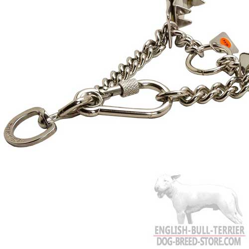 Steel Pinch Collar for English Bull Terrier