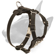 Bull Terrier Durable Leather Dog Harness with Stylish Studs for Puppies Bull Terrier Durable Leather Dog Harness with Stylish Studs for Puppies
