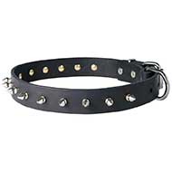 Handcrafted Narrow Leather Bull Terrier Collar with Spikes