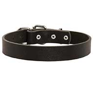 Simple and Elegant Leather Bull Terrier Collar