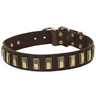 Remarkable Design Leather Bull Terrier Collar with Brass Plates