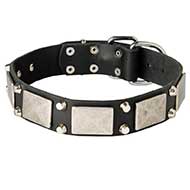 Stylish and Functional Leather Bull Terrier Collar with Metal Decoration