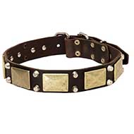 Vintage Leather Bull Terrier Collar Decorated With Brass Plates And Nickel Pyramids