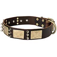 Leather Bull Terrier Collar with Metal Plates and Spikes
