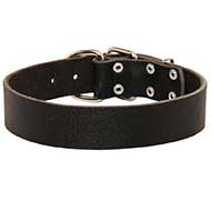 Simple Design Wide Leather Bull Terrier Collar