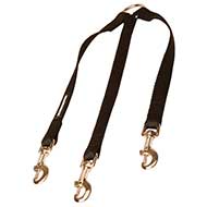 Nylon Bull Terrier Leash For Walking Three Dogs