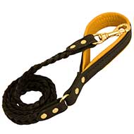 Marvelous Leather Bull Terrier Leash for Walking