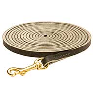 Professional Leather Bull Terrier Leash for Tracking