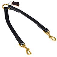 Stitched Leather Bull Terrier Coupler For Proper Training