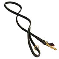 Stunning Leather English Bull Terrier Leash for Walking and Tracking