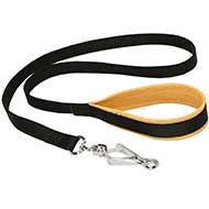 Nylon English Bull Terrier Leash With Supported Soft Material on The Handle