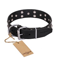 FDT Artisan 'Mystic Skulls' Decorated Leather English Bull Terrier Dog Collar with Skulls and Studs 1 1/2 inch (40 mm)