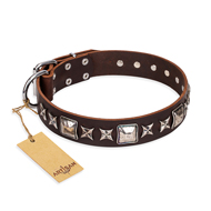"Perfect Impression" FDT Artisan Brown Leather English Bull Terrier Collar with Square Studs - 1 1/2 inch (40 mm) Wide