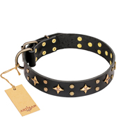 'A La Mode' FDT Artisan Handmade Black Leather English Bull Terrier Collar