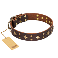 'High Fashion' FDT Artisan Embellished Brown Leather English Bull Terrier Collar