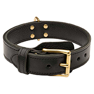 Extra Strong 2 ply Leather Bull Terrier Collar for Training
