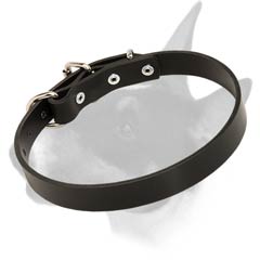 Buckled Leather Bull Terrier Collar for Everyday Activities