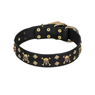 'Jolly Rojer' FDT Artisan Bull Terrier Leather Dog Collar with Pirate Skulls and Studs - 1 1/2 inch (40 mm) wide